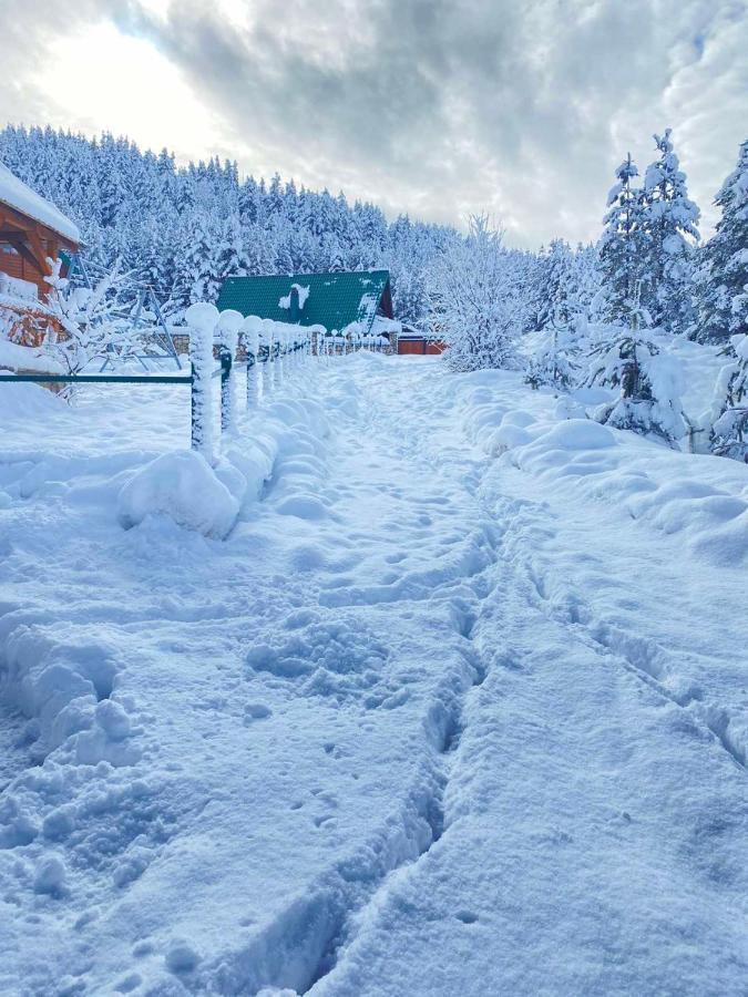 Villa Vikendice Itana Žabljak Esterno foto