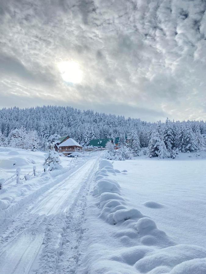 Villa Vikendice Itana Žabljak Esterno foto