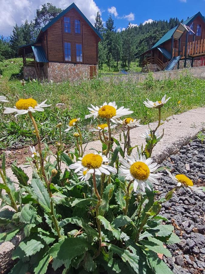 Villa Vikendice Itana Žabljak Esterno foto